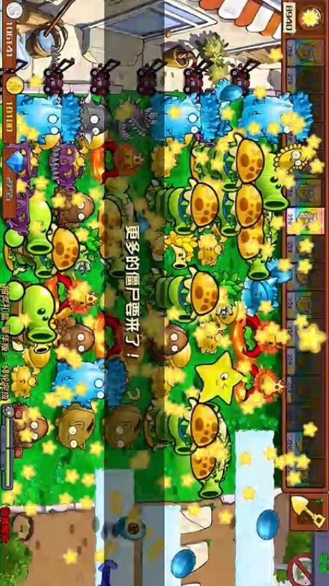 植物僵尸冲突