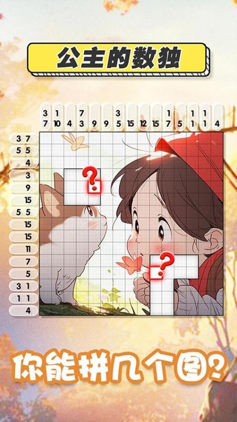 公主的数独