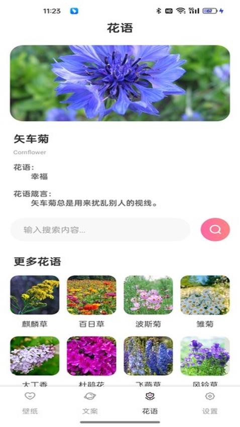 傲娇壁纸最新版