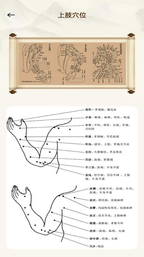 倪海厦经络穴位图释官网版
