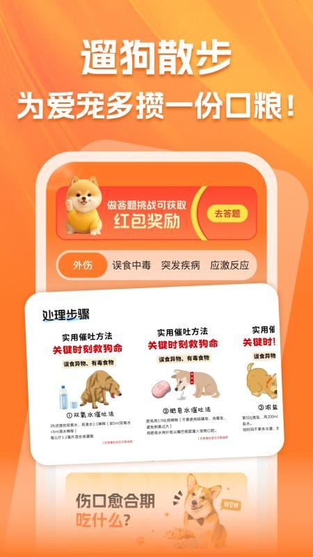 走路赚金app