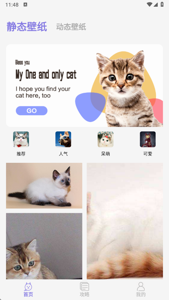多多养猫助手app