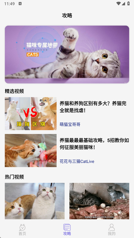 多多养猫助手app