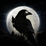 night crows国际服