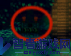 星露谷物语姜岛东部金核桃获取途径介绍