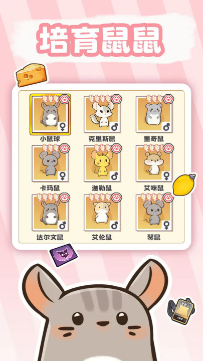 社会我猫哥游戏