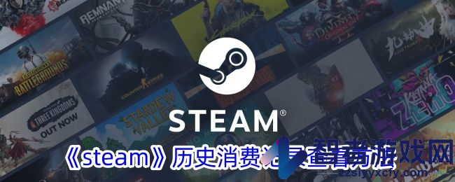 steam历史消费记录查看方法
