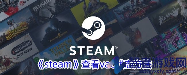 steam查看vac状态方法