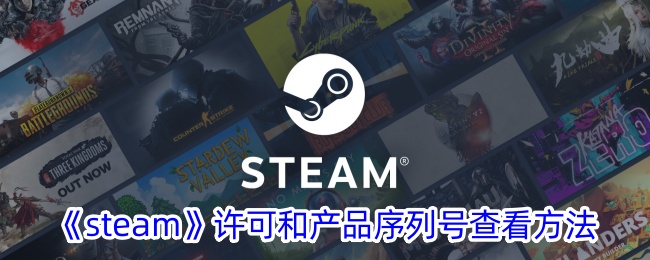 《Steam许可与产品序列号查看方法：如何找到Steam许可和序列号》