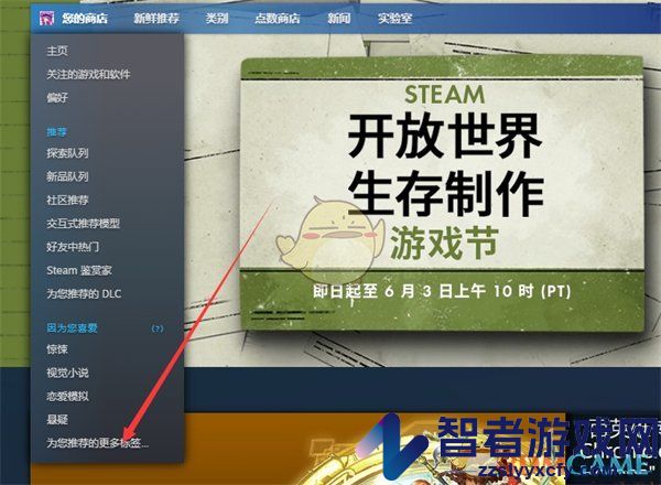 steam推荐标签查看方法