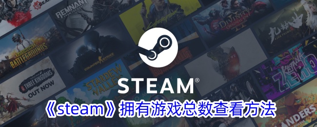 《Steam游戏总数查看方法：如何查看你拥有的游戏数量》