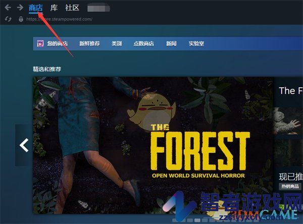 steam查看点数历史记录方法