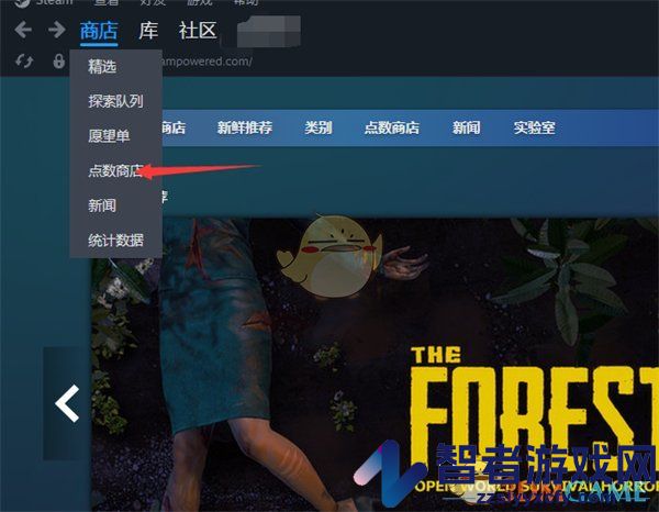 steam查看点数历史记录方法