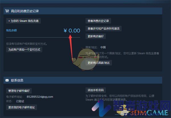 steam钱包余额查看方法