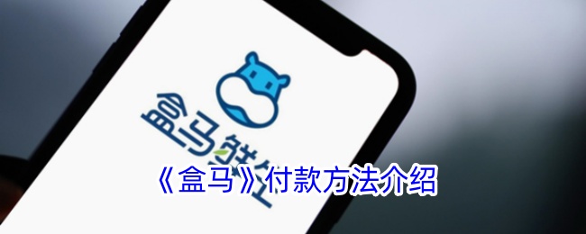 《盒马付款方法详解:盒马app如何快速支付》