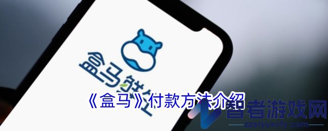 盒马付款方法介绍