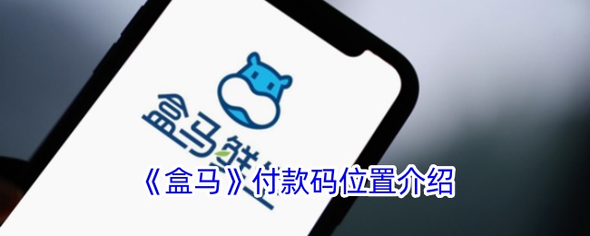 《盒马付款码位置详解：如何找到盒马APP中的付款码》
