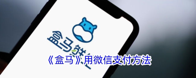 《盒马如何使用微信支付？盒马APP微信支付详细指南》