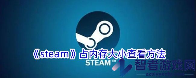 steam占内存大小查看方法