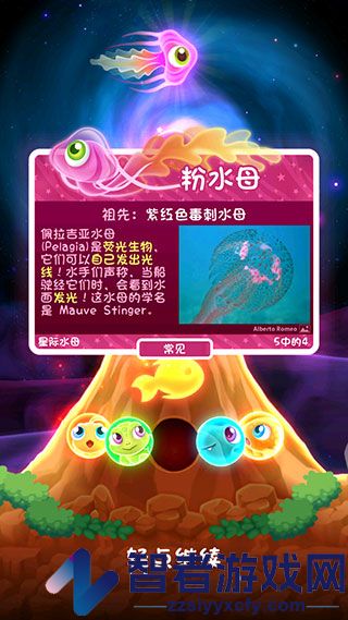 超级星鱼游戏
