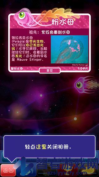 超级星鱼游戏