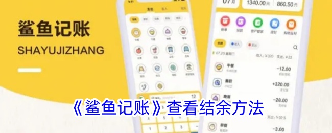 《鲨鱼记账：如何查看余额与结余方法详解》