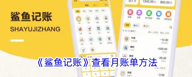 《鲨鱼记账》月账单查看指南：如何查看上个月的账单记录