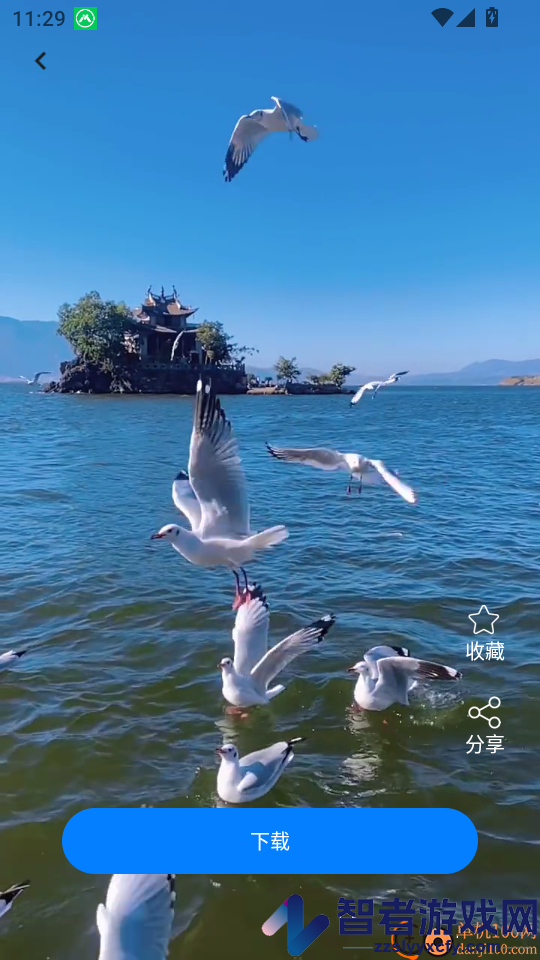 主题免费壁纸志慧app下载
