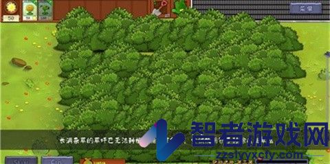 植物大战僵尸转基因版(Plants vs. Zombies FREE)