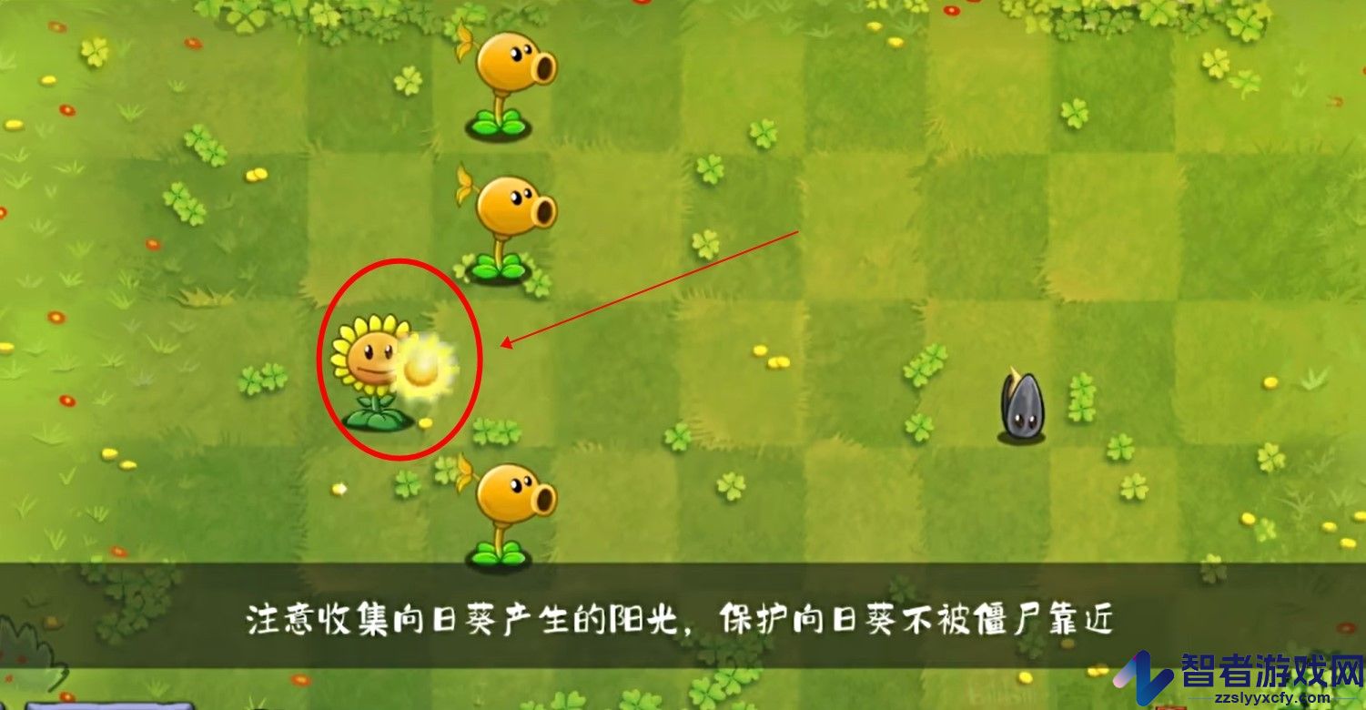 植物大战僵尸转基因版(Plants vs. Zombies FREE)