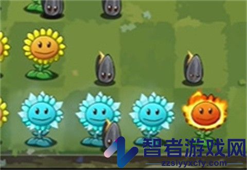 植物大战僵尸转基因版(Plants vs. Zombies FREE)