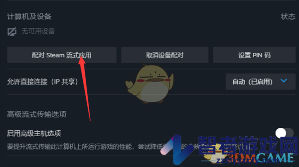 steam配对远程畅玩教程