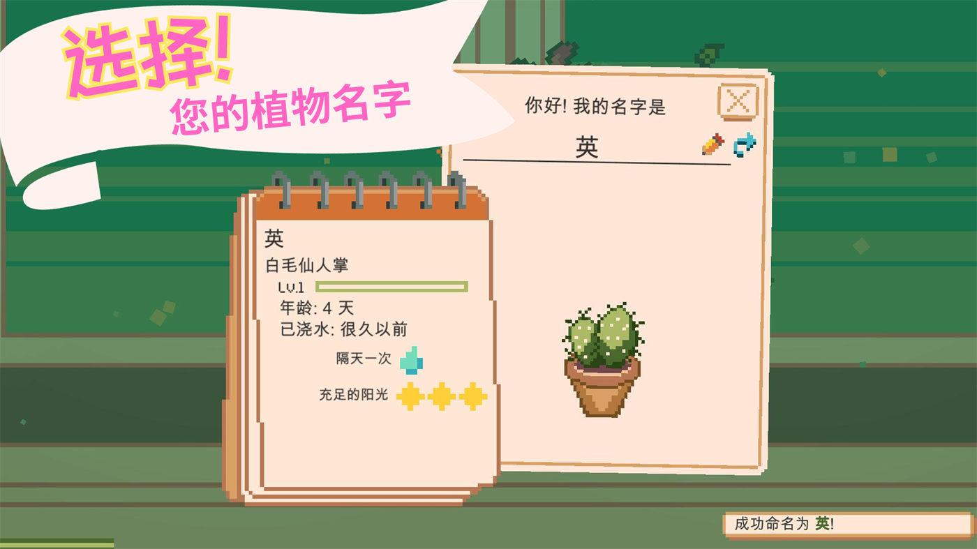 窗口花园游戏(Window Garden)