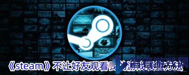 steam不让好友观看我的游戏设置方法