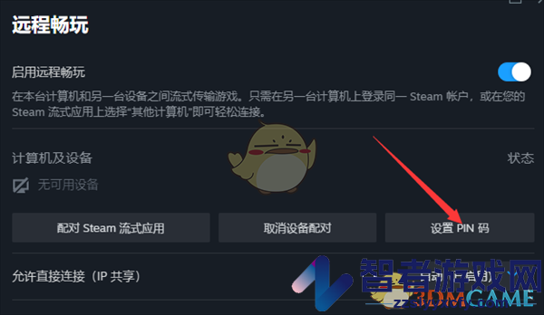 steam设置流式传输pin码教程