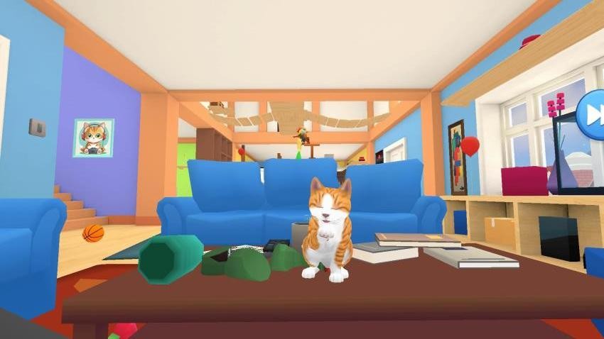小猫爱球球