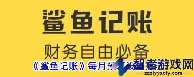 鲨鱼记账每月预算设置方法