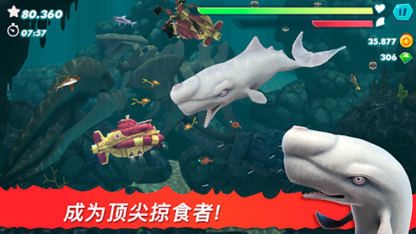 饥饿鲨鱼进化最新版本(Hungry Shark)