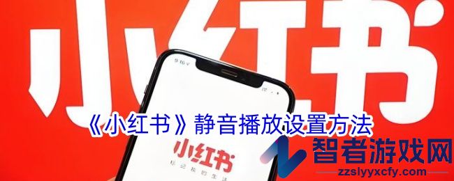 小红书静音播放设置方法