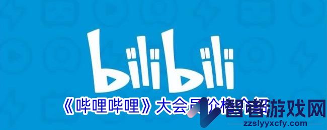 哔哩哔哩大会员价格介绍