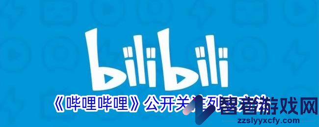 哔哩哔哩公开关注列表方法