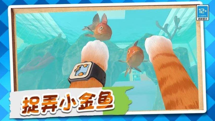 猫猫大乱斗