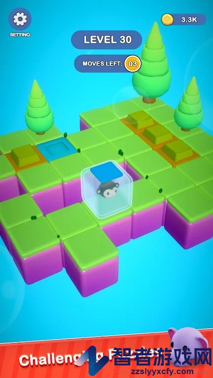 猫猫迷宫冒险(Meow Maze)