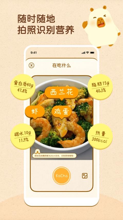 知食AI官网版