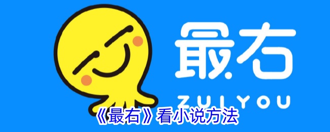 《最右看小说的最佳方法与技巧》