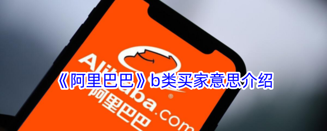 《阿里巴巴B类买家详解：B类买家是什么意思？》