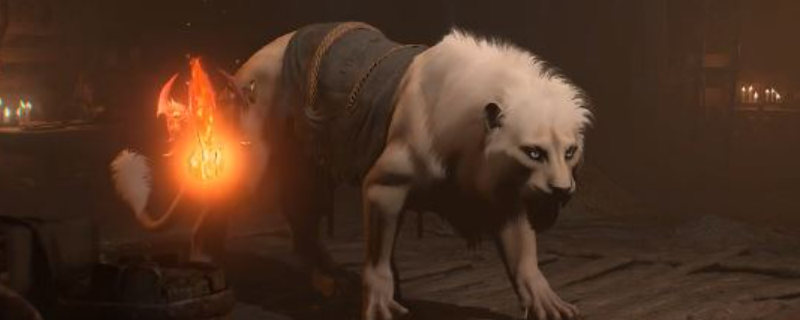 《暗黑破坏神4》付费坐骑详细介绍与获取指南