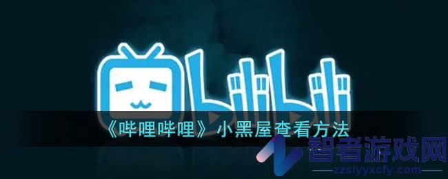 哔哩哔哩小黑屋查看方法