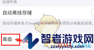 safari浏览器清除网站数据方法