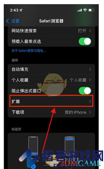 safari浏览器拓展设置方法